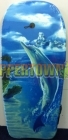 Dolphin Boogie Board (single)