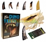 Dig and Discover Dino Teeth Excavation Kit