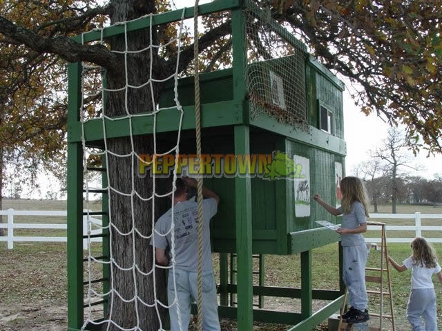 Diy Cargo Net Ladder By Peppertown