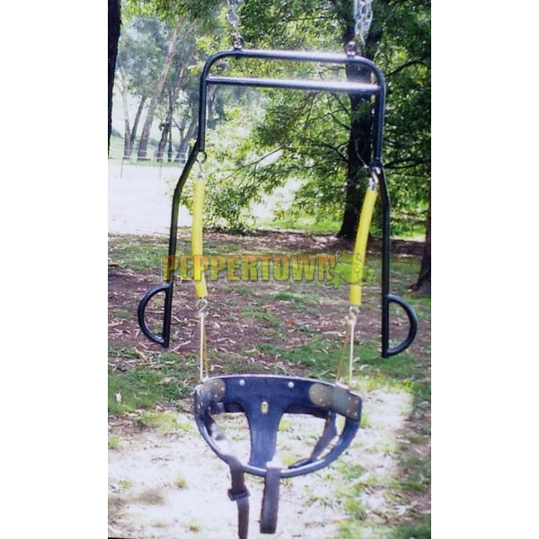 Adult Special Needs Super Swing With Frame By Peppertown