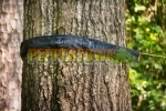 Tree Protector System