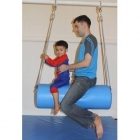 Blue Bolster Swing