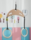 Gymnastic Rings - Single Hanging Point
